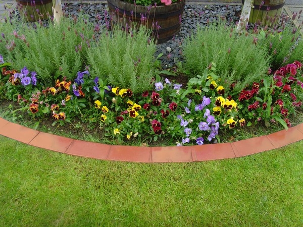Terracota Lawn Edging Ideas