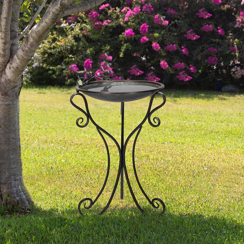 Traditional Iron Bird Bath