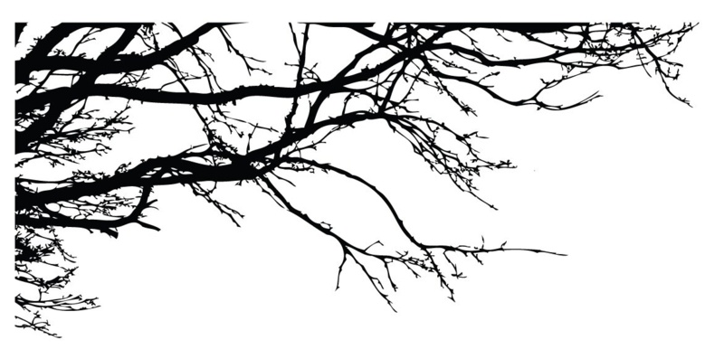 Tree Top Oak Branches Wall Decal