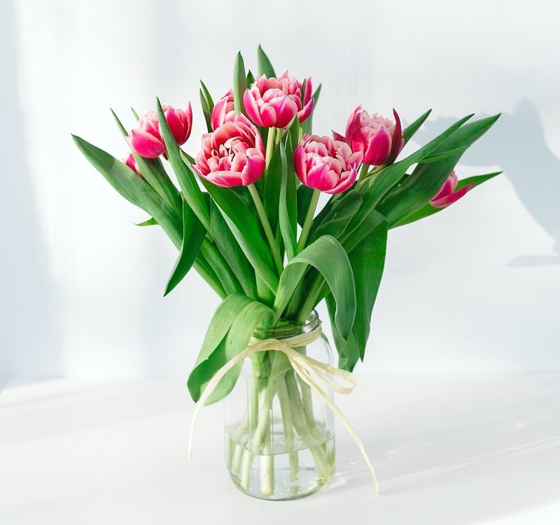 tulips flowers for mothers day