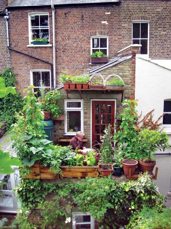 Urban Oasis