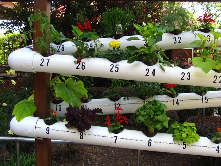 using rain water for hydroponics
