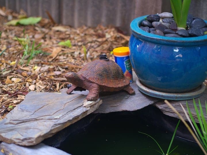 using rain water on mini pond