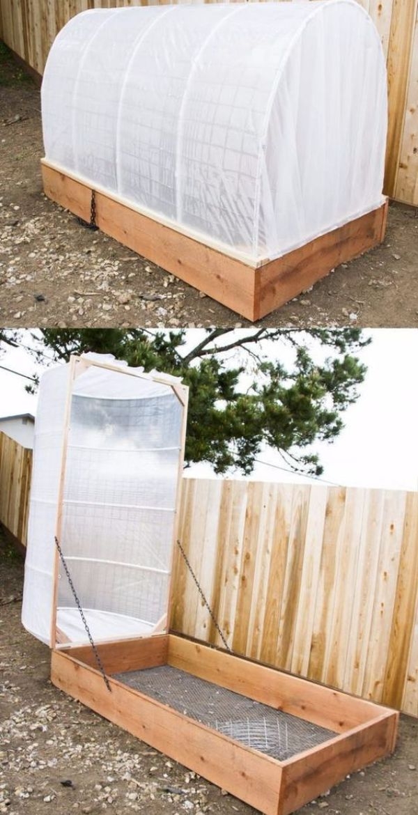 Vegetable Raised Garden Bed