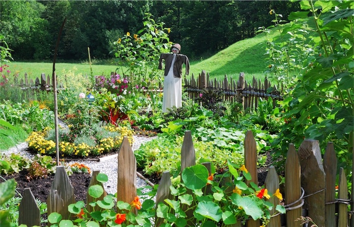 Vegetables Garden Health Benefits 