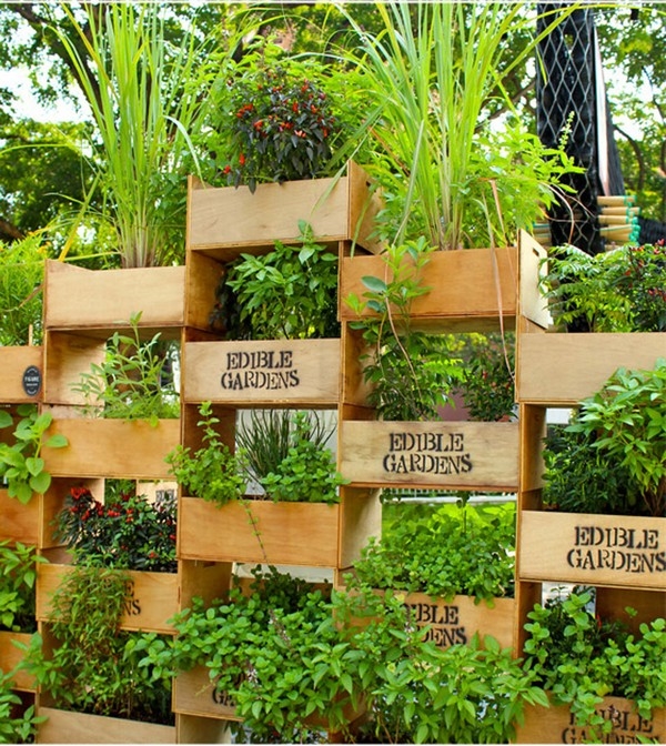 Vertical Gardening Boxes