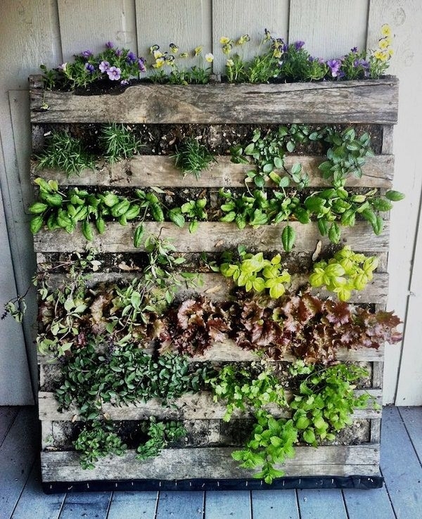 Vertical Gardening Colorado