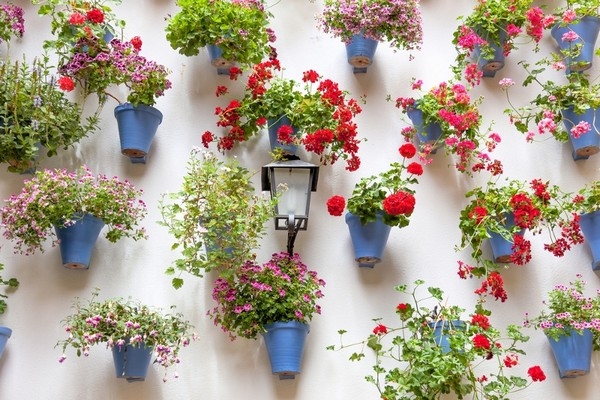 Vertical Gardening DIY