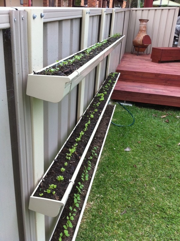 Vertical Gardening Gutters