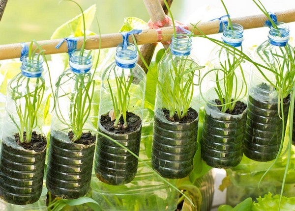 Vertical Gardening Systems