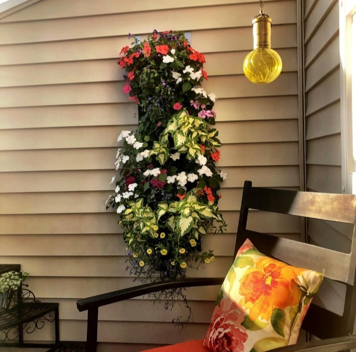 vertical planted wall in living space