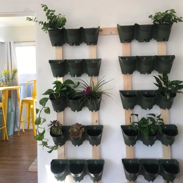 vertical planted wall indoors