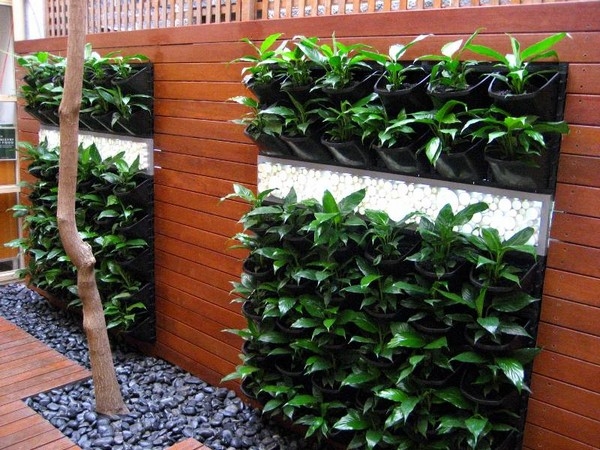 Vertical Vegetable Gardening Ideas