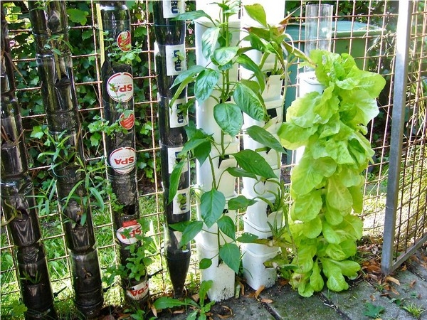Vertical Vegetable Gardening Systems