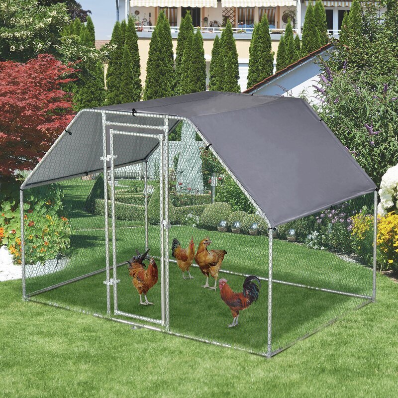 Walk In Chicken Run