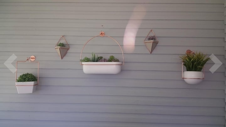 wall decorated with plants