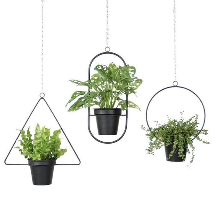 wall hanging garden planters
