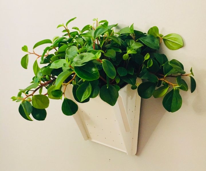 wall hanging planter boxes
