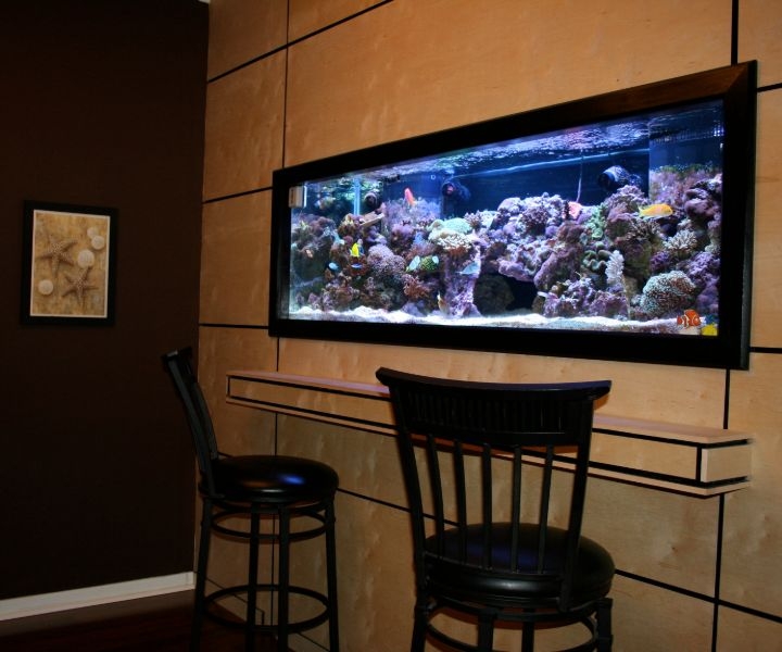 wall mounted fish aquarium