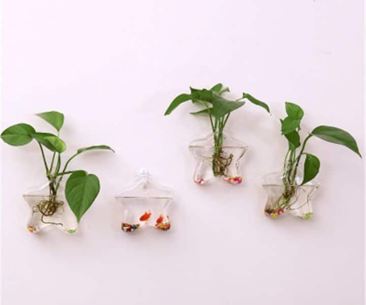 wall mounted hanging planters
