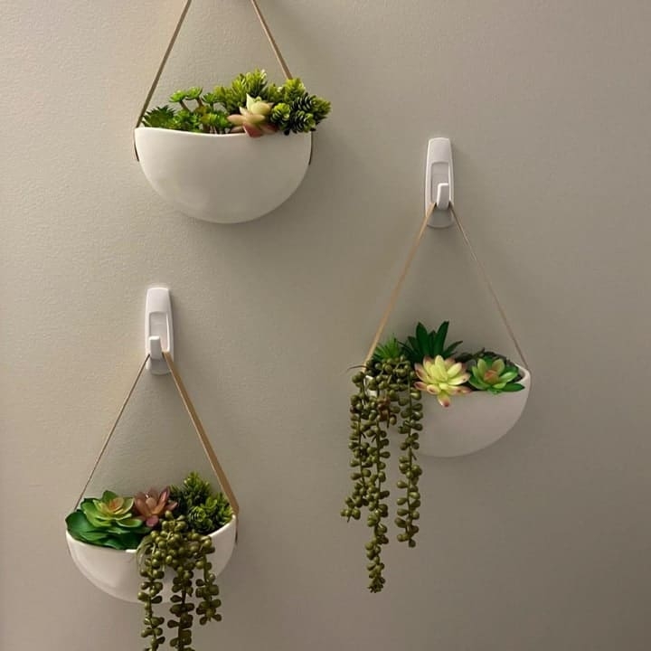 wall planters with succulents