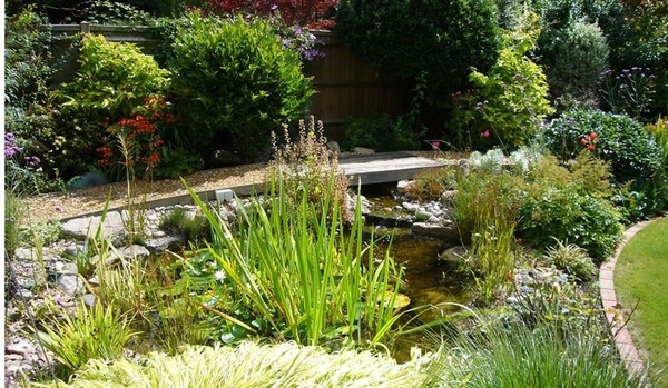 Water Feature Ideas
