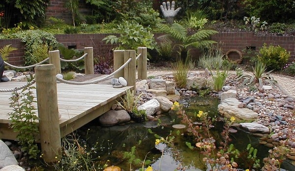 Water Features
