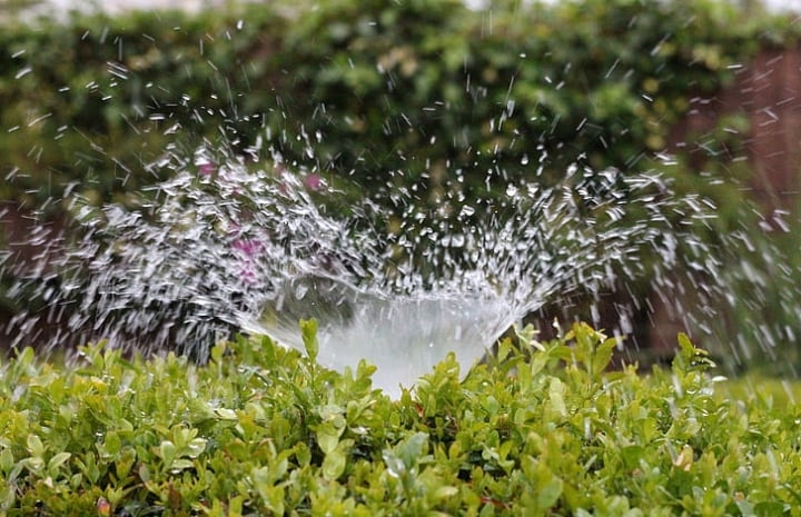 water sprinkler in the front lawn garden