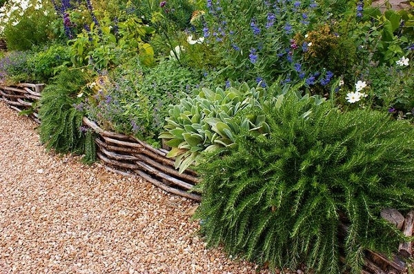 Wattle Lawn Edging Ideas