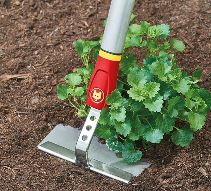 weeding out plants in the garden