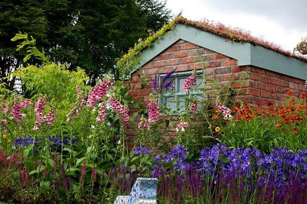 Wildlife Friendly Garden