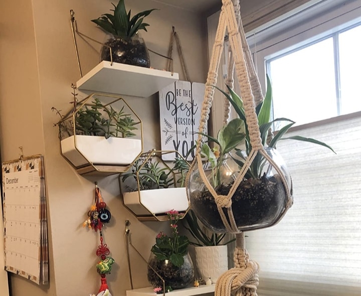 window sill planted wall
