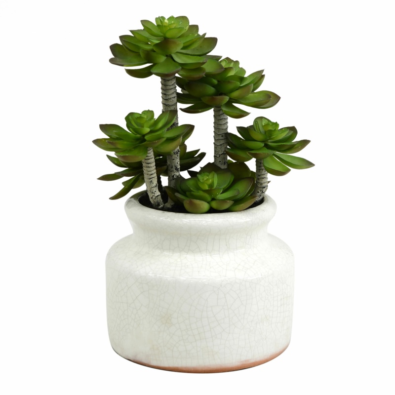 11'' Faux Succulent Plant in Ceramic Planter