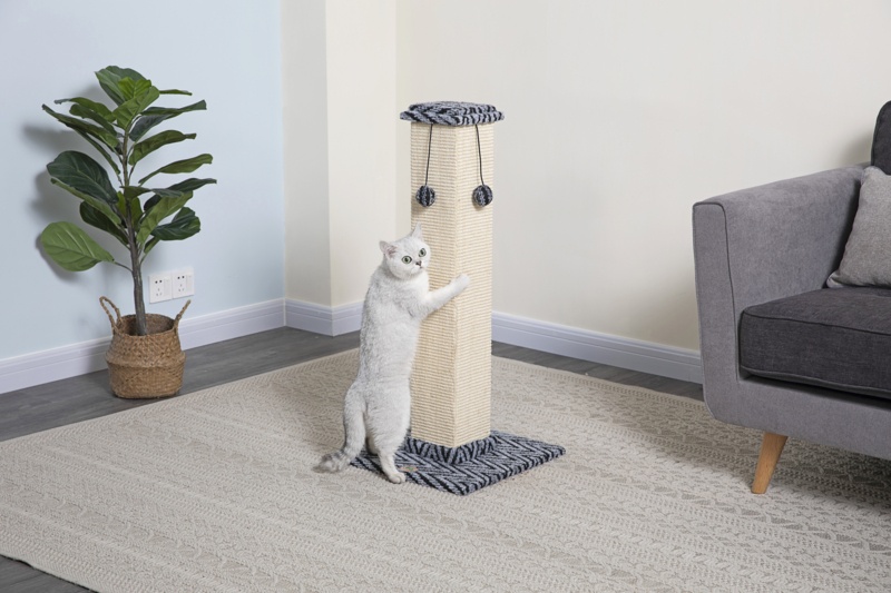 35" Scratching Post