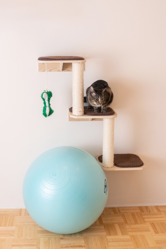 41" Real Wood Wal Cat Tree