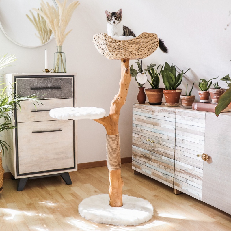 43" Lina Cat Tree