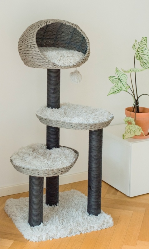 50" Amagansett Cat Condo
