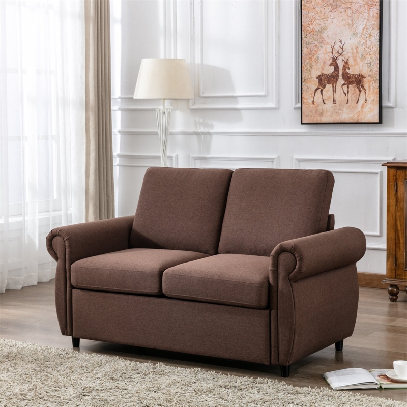 Sleeper Sofa with Memory Foam Mattress