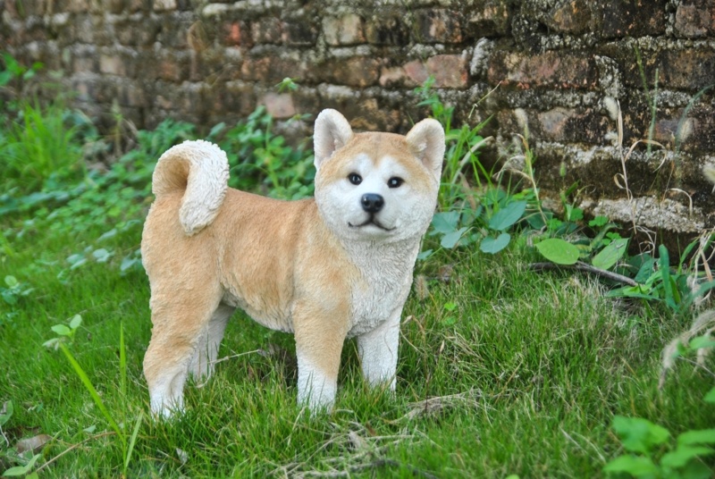 AKITA DOG STANDING STATUE