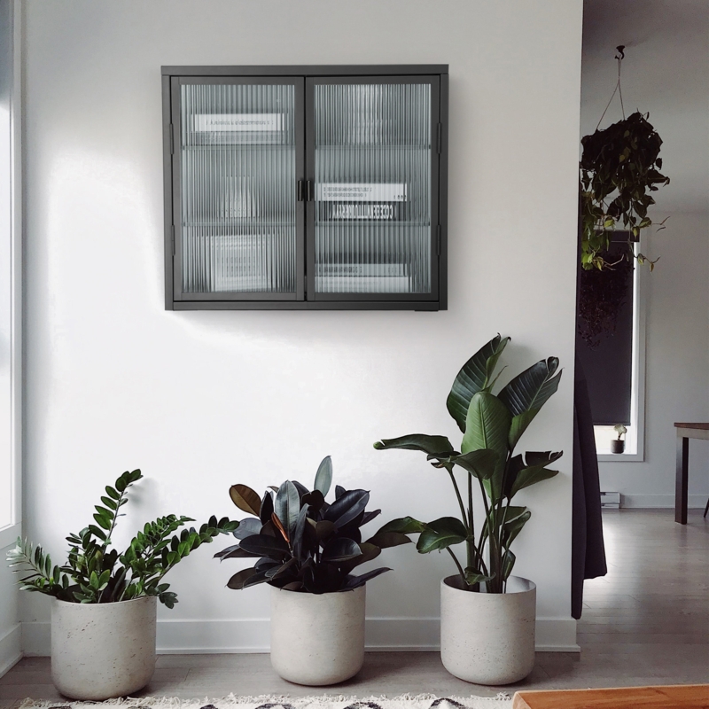Metal and Glass Wall Cabinet with Adjustable Shelves