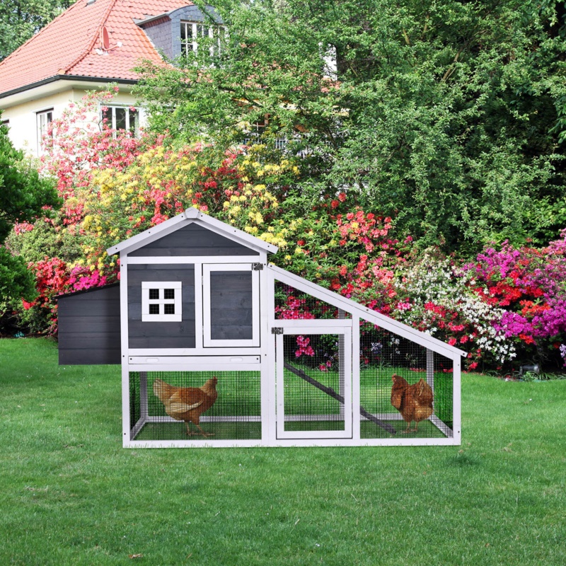 Alberica 18.9 Square Feet Chicken Coop with Chicken Run