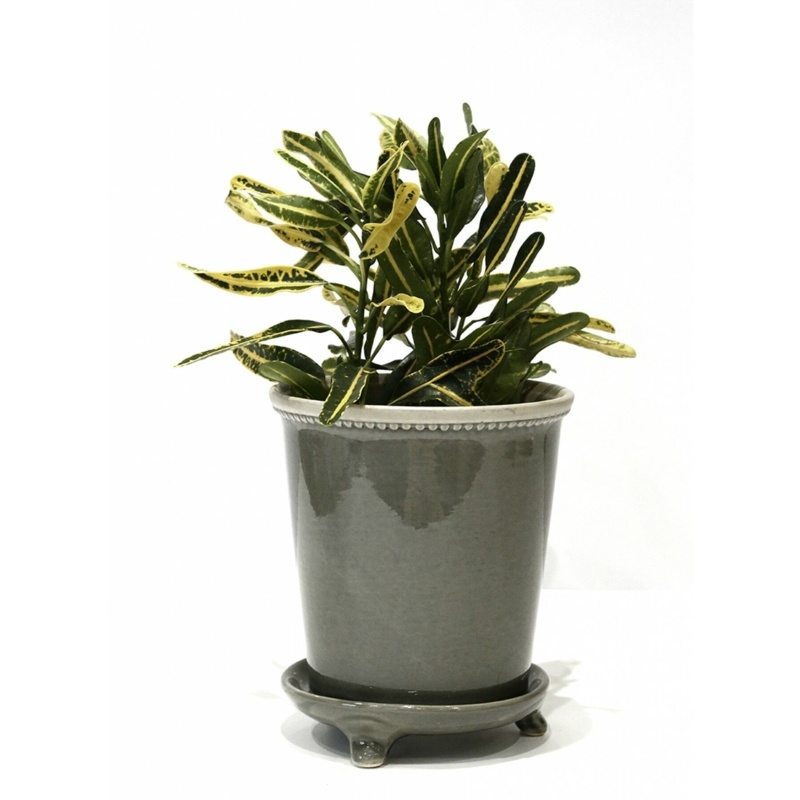 Alois Ceramic Pot Planter