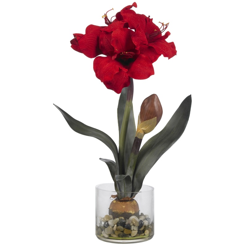 Amaryllis Centerpiece in Vase