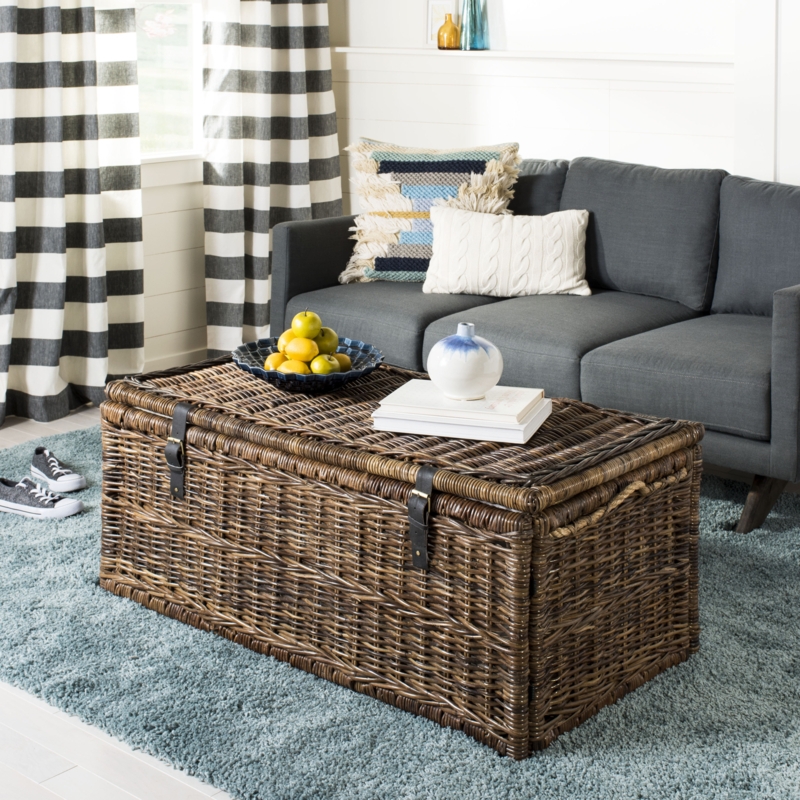 Extra Large Storage Chest Trunks