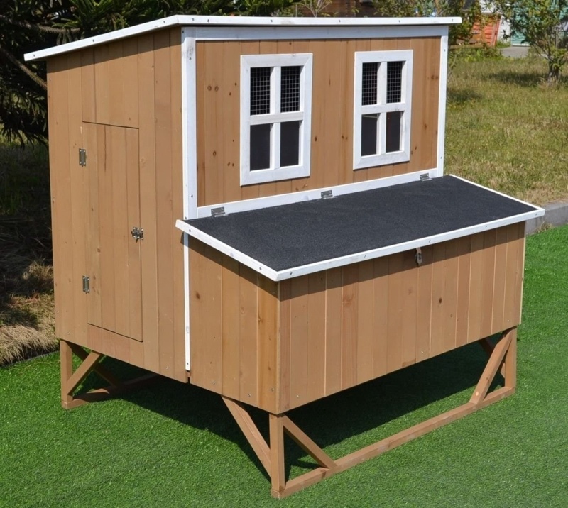 Analis 12.4 Square Feet Chicken Coop with Nesting Box