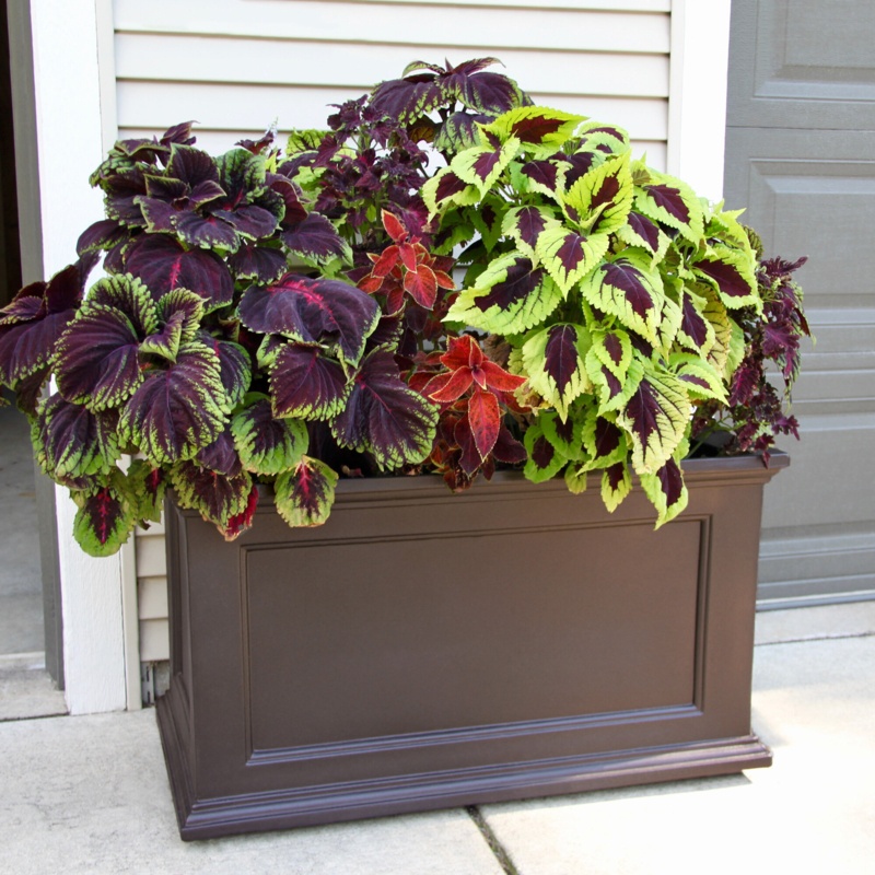 Anastasiya Self Watering Plastic Planter Box