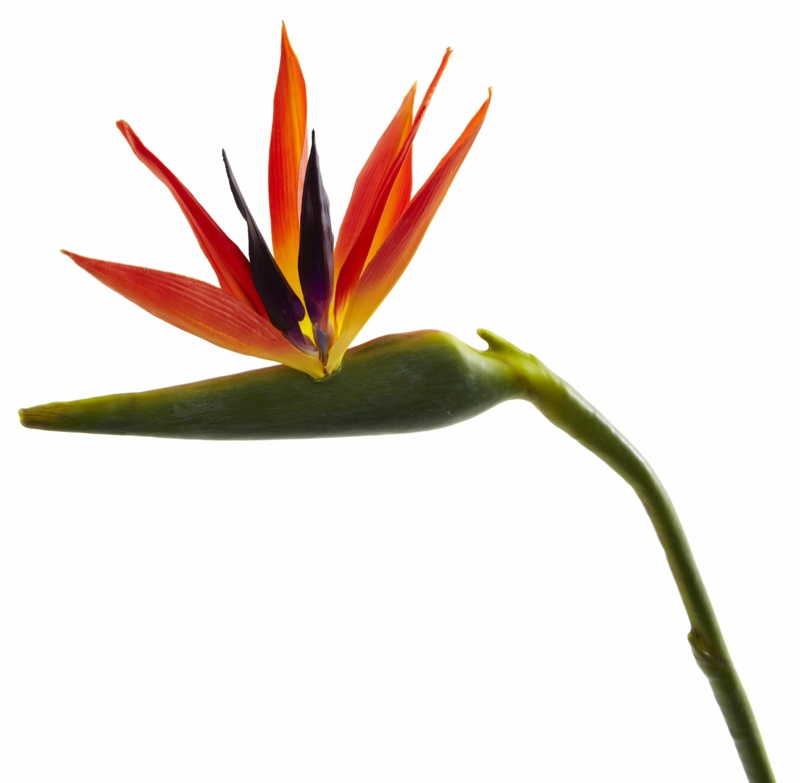 Artificial Large Stem