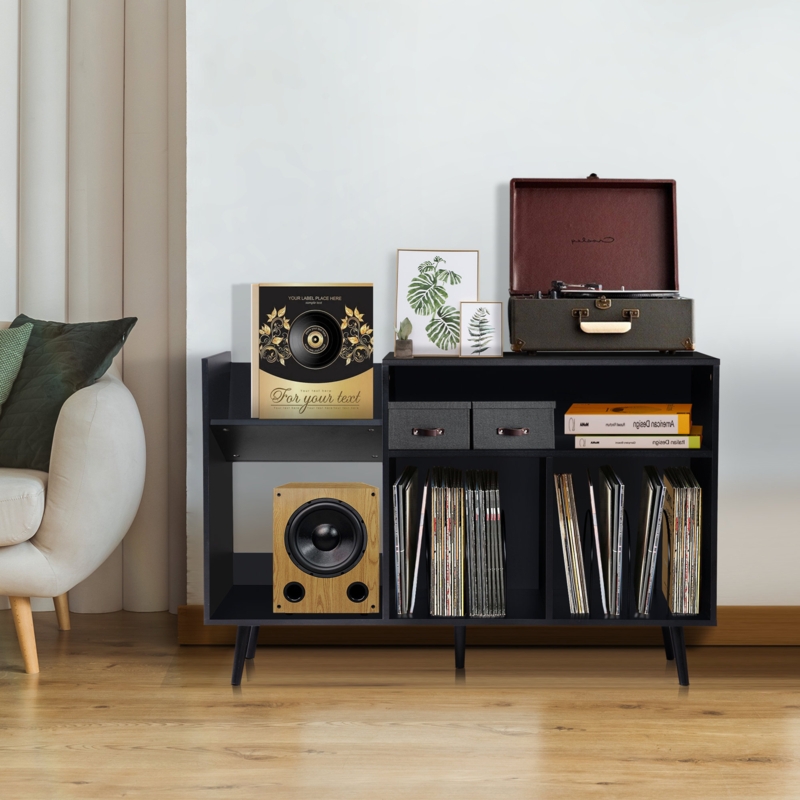 Mid-Century Modern Audio Rack