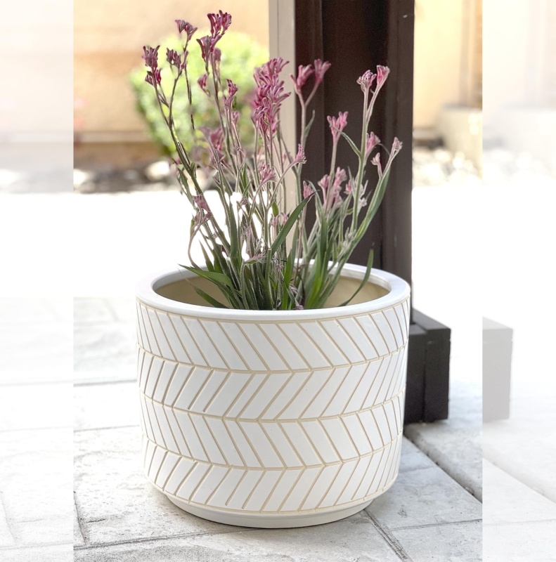 Bervin Pot Planter