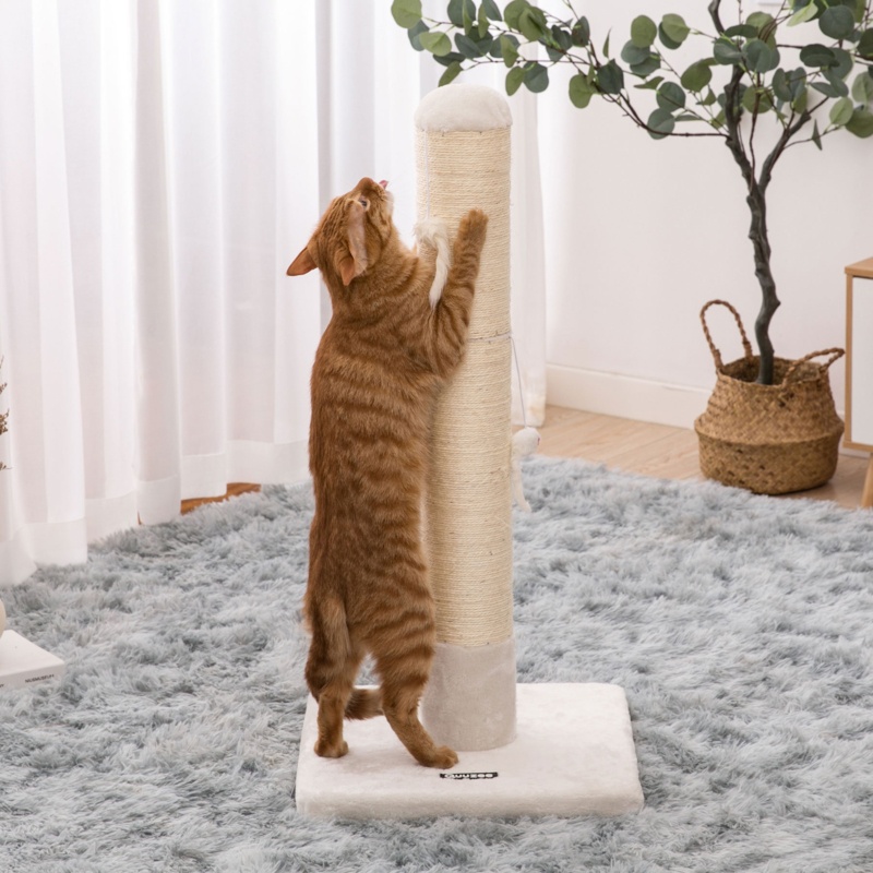 Bithia 31.7" Scratching Post